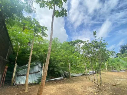 Chantalay 商业区待售土地，2.9 莱