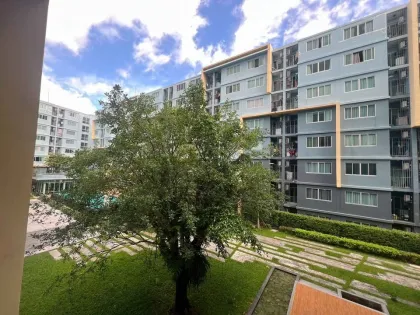 普吉岛卡图D公寓一居室出售