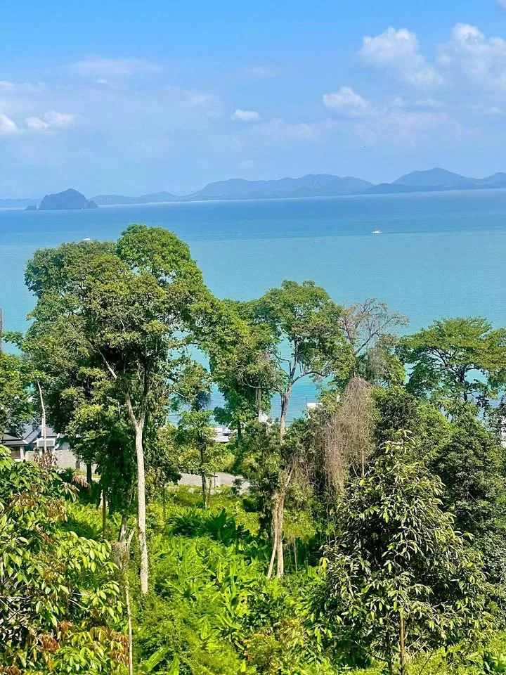 Grundstück mit Meerblick zu verkaufen – Koh Sirey, Phuket 2 Rai
