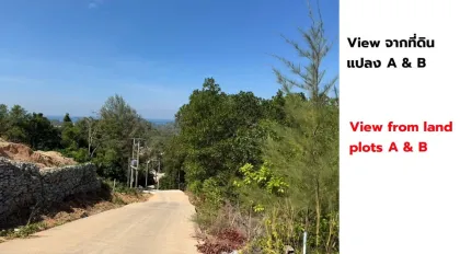 ที่ดินวิวทะเล 31-2-18.7 ไร่ ที่หาดลายัน ภูเก็ต