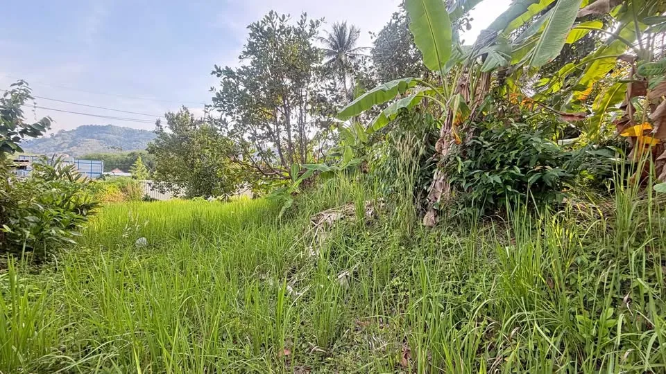 Land for Sale 1 Rai 3 Ngan 29.7 sqWah near Naithorn Beach