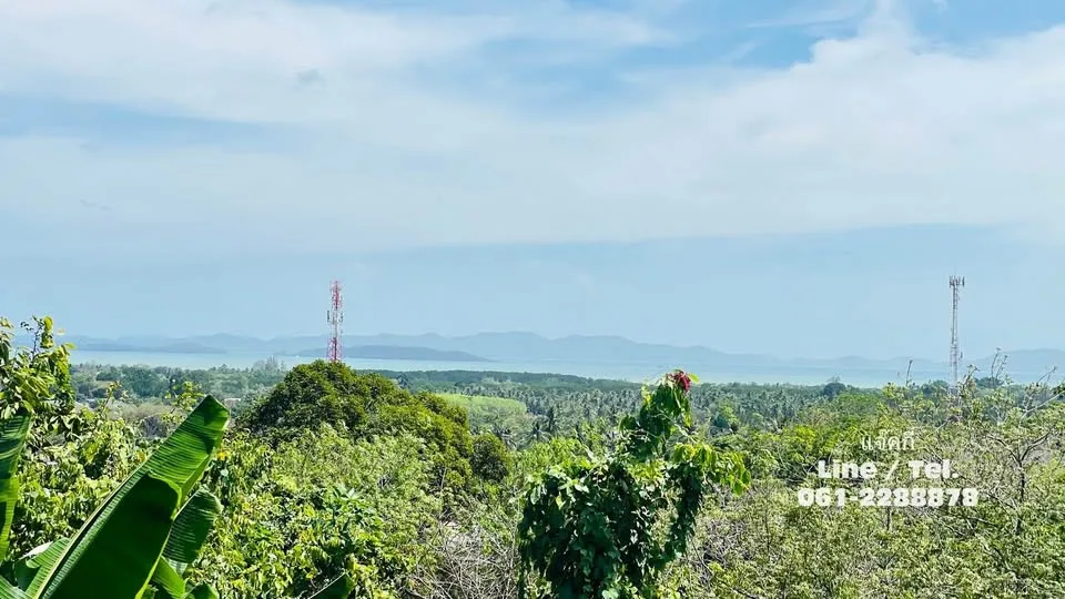 出售2莱土地，海景，周围环绕泳池别墅