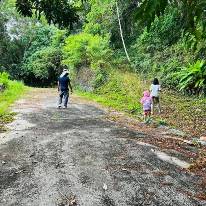 ที่ดินวิวทะเลขายที่ป่ากรอก ตำบลท้ายเหมือง