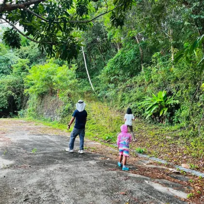 ที่ดินวิวทะเลขายที่ป่ากรอก ตำบลท้ายเหมือง