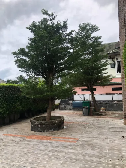 Современная вилла с 6 спальнями в 99 Phuket Andaman Tropical Home, Чалонг