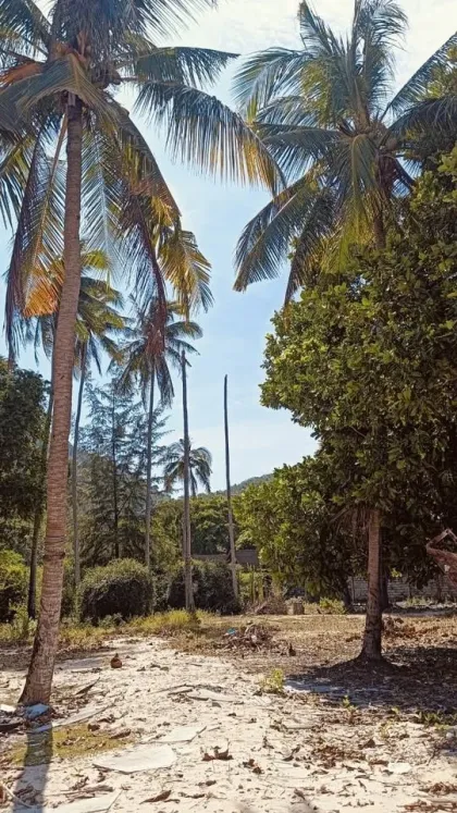 Grundstück zum Verkauf auf Koh Lon, Phuket Insel
