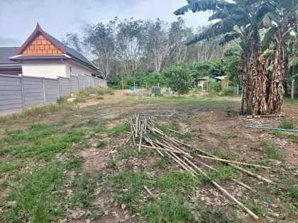 Terrain de 950 m² à vendre à Srisuntorn, Thalang