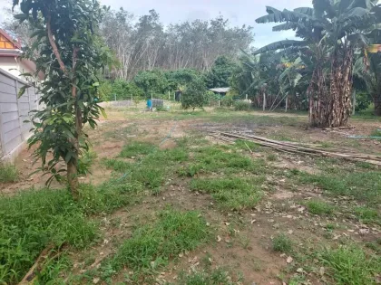 Terrain de 950 m² à vendre à Srisuntorn, Thalang
