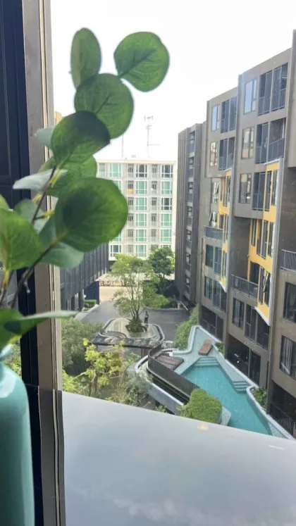 Квартира 1 спальня 1 ванная в The Base Central Condo, Кату, Пхукет