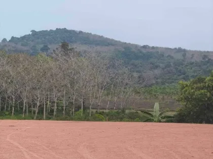 Terreno de 1 Rai 3 Ngan 56.5 Sq.Wa con Transferencia, Mai Khao