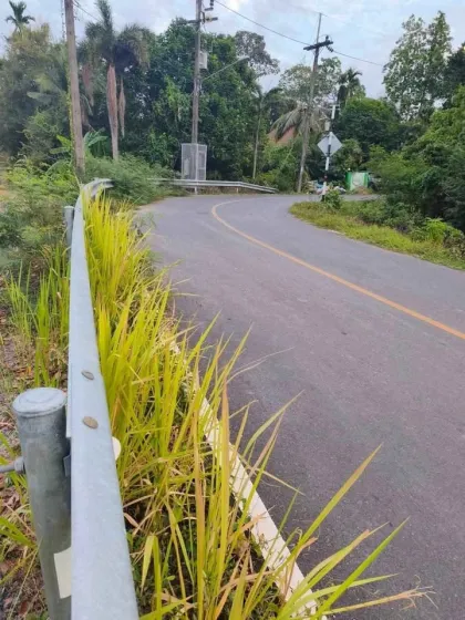 Terreno de 1 Rai 3 Ngan 56.5 Sq.Wa con Transferencia, Mai Khao