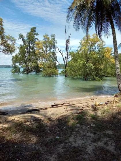 Grand terrain à vendre à Phuket – 102 Rai en bord de mer et montagne