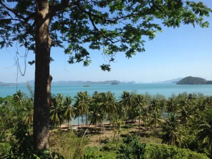 Grand terrain à vendre à Phuket – 102 Rai en bord de mer et montagne