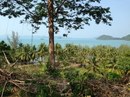 Grand terrain à vendre à Phuket – 102 Rai en bord de mer et montagne