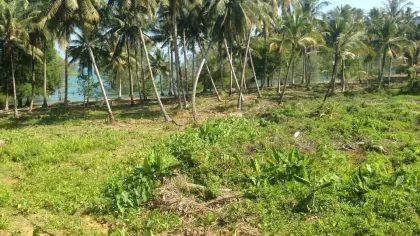 Grand terrain à vendre à Phuket – 102 Rai en bord de mer et montagne