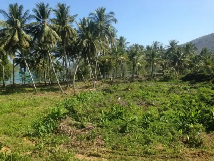 Grand terrain à vendre à Phuket – 102 Rai en bord de mer et montagne