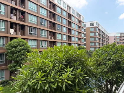 Appartement rénové 1 chambre 1 salle de bain avec vue piscine à Dcondo Creek