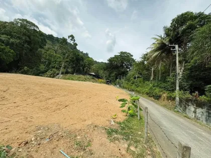 ที่ดินวิวทะเลและป่าในป่าตอง ภูเก็ต