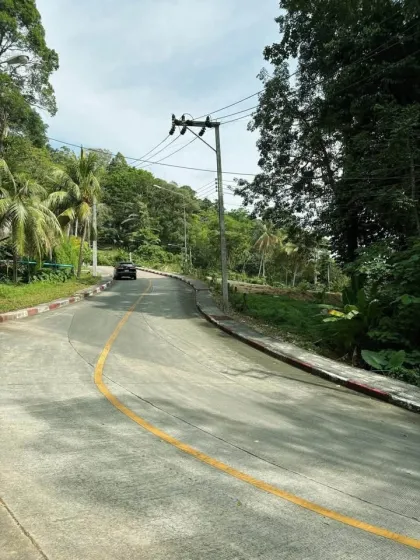 ที่ดินวิวทะเลและป่าในป่าตอง ภูเก็ต