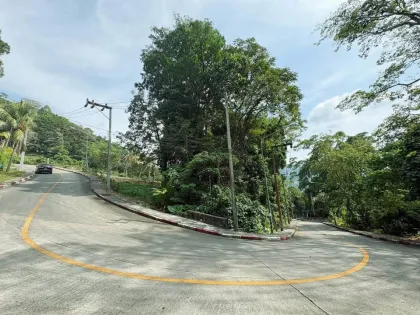 ที่ดินวิวทะเลและป่าในป่าตอง ภูเก็ต