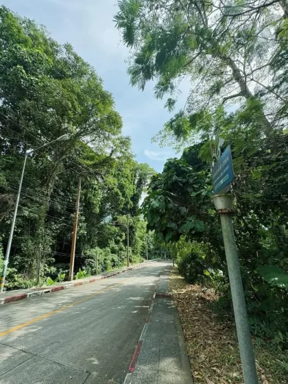 ที่ดินวิวทะเลและป่าในป่าตอง ภูเก็ต
