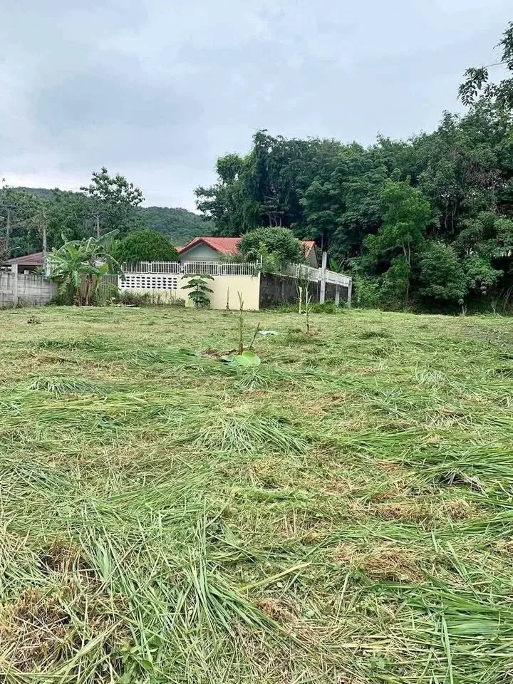 Vacant Land 1,534 sqm in Chalong, Phuket