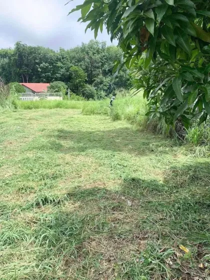 ขายที่ดินเปล่าสวยในโซนฉลอง เหมาะสร้างพูลวิลล่า บ้านและอพาร์ทเม้นท์