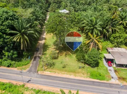 ขายที่ดินทำเลดีที่หนองทะเล กระบี่ 1,360 ตร.ม.