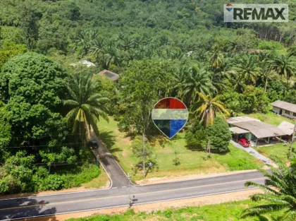 ขายที่ดินทำเลดีที่หนองทะเล กระบี่ 1,360 ตร.ม.