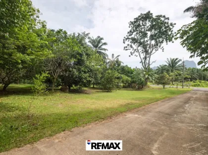 ขายที่ดินทำเลดีที่หนองทะเล กระบี่ 1,360 ตร.ม.