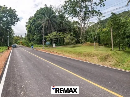 ขายที่ดินทำเลดีที่หนองทะเล กระบี่ 1,360 ตร.ม.