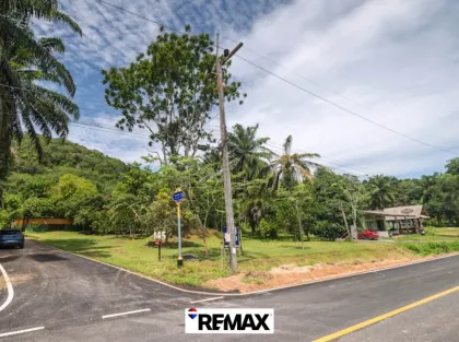 ขายที่ดินทำเลดีที่หนองทะเล กระบี่ 1,360 ตร.ม.