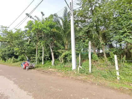 邦涛海滩附近优质土地出售，珍格泰莱