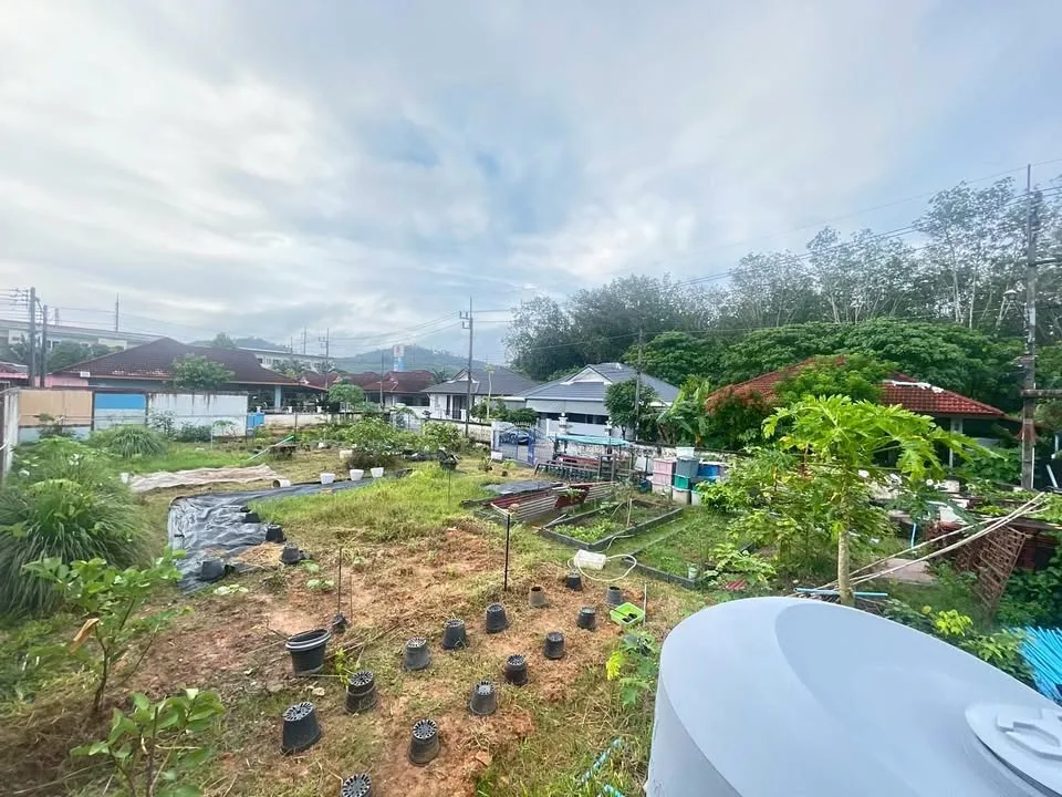 普卡村土地带果树及地下水井，巴克洛克区，普吉岛