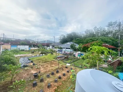 普卡村土地带果树及地下水井，巴克洛克区，普吉岛
