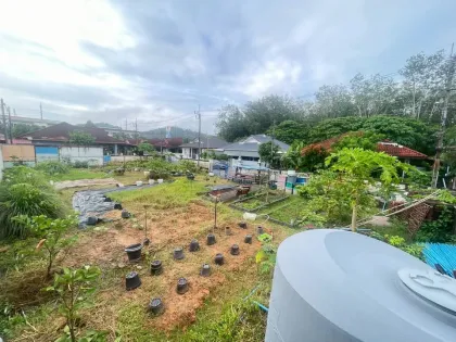 普卡村土地带果树及地下水井，巴克洛克区，普吉岛
