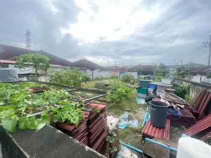 普卡村土地带果树及地下水井，巴克洛克区，普吉岛