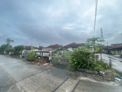 普卡村土地带果树及地下水井，巴克洛克区，普吉岛