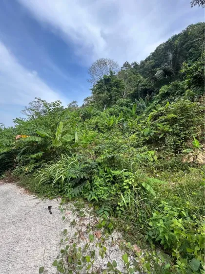 Land for Sale Near British International College, Kokhew