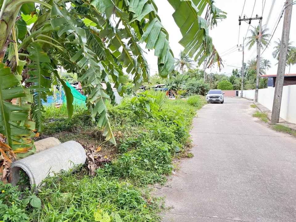 Grundstück mit Straßenanbindung in Pa Klok, Phuket zu verkaufen