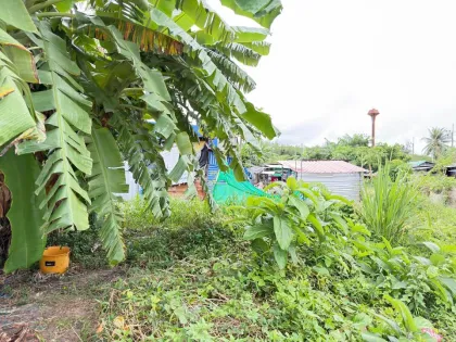 Terrain à vendre avec accès routier à Pa Klok, Phuket