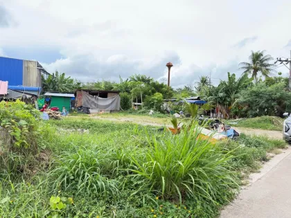 Terrain à vendre avec accès routier à Pa Klok, Phuket