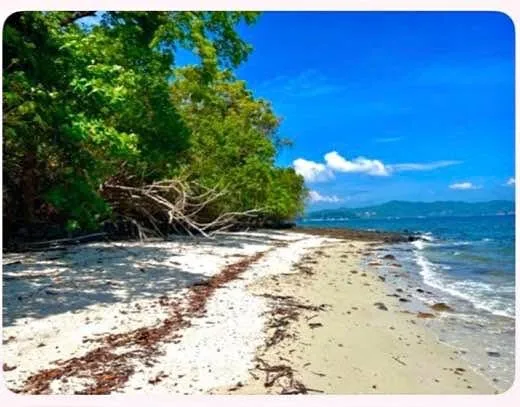 ที่ดินติดทะเลสุดพิเศษขายที่เกาะนาคาใหญ่ ภูเก็ต