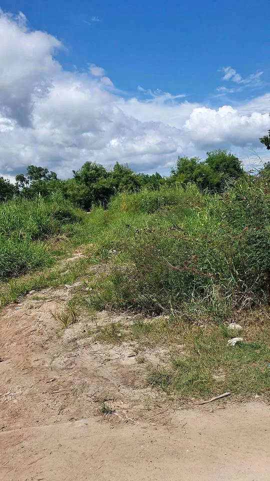 Land for Sale 1 Rai 1 Ngan 83 Sq Wah in Prime Chalong Area