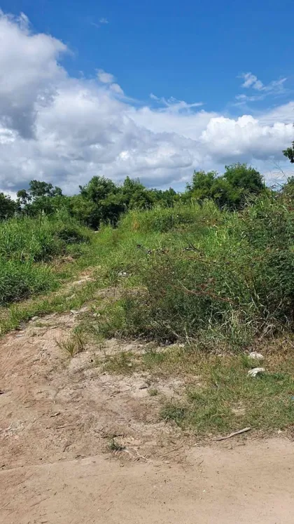 Land for Sale 1 Rai 1 Ngan 83 Sq Wah in Prime Chalong Area