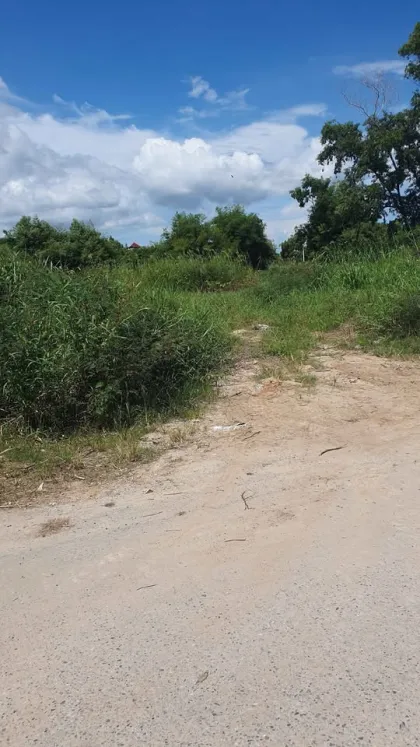 Land for Sale 1 Rai 1 Ngan 83 Sq Wah in Prime Chalong Area