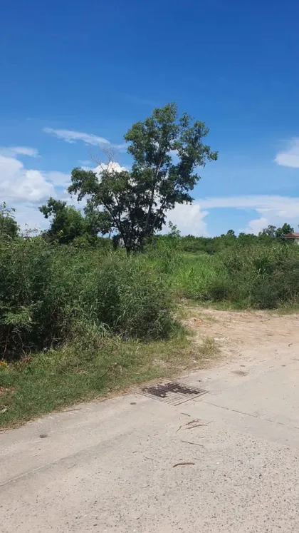 Land for Sale 1 Rai 1 Ngan 83 Sq Wah in Prime Chalong Area