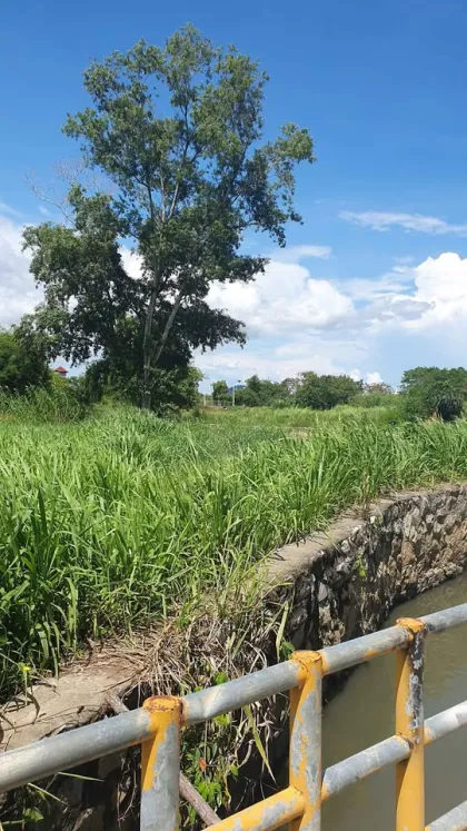 Land for Sale 1 Rai 1 Ngan 83 Sq Wah in Prime Chalong Area