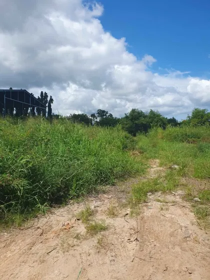 Land for Sale 1 Rai 1 Ngan 83 Sq Wah in Prime Chalong Area