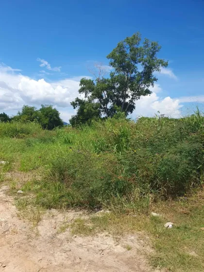 Land for Sale 1 Rai 1 Ngan 83 Sq Wah in Prime Chalong Area